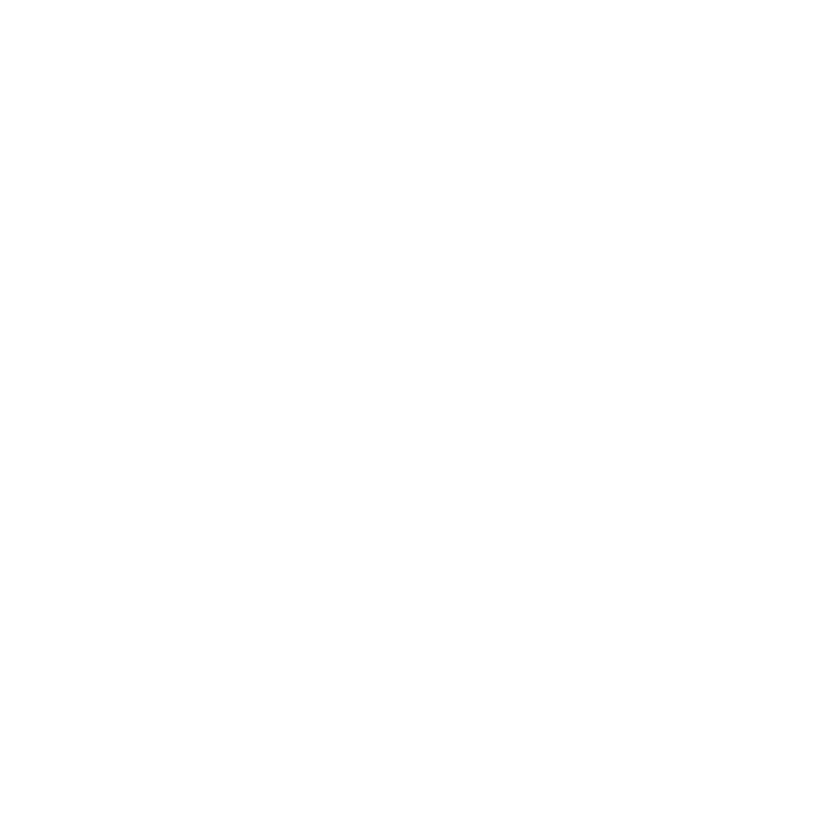 Skillicious Services Pvt Ltd